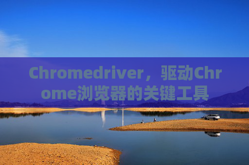 Chromedriver，驱动Chrome浏览器的关键工具